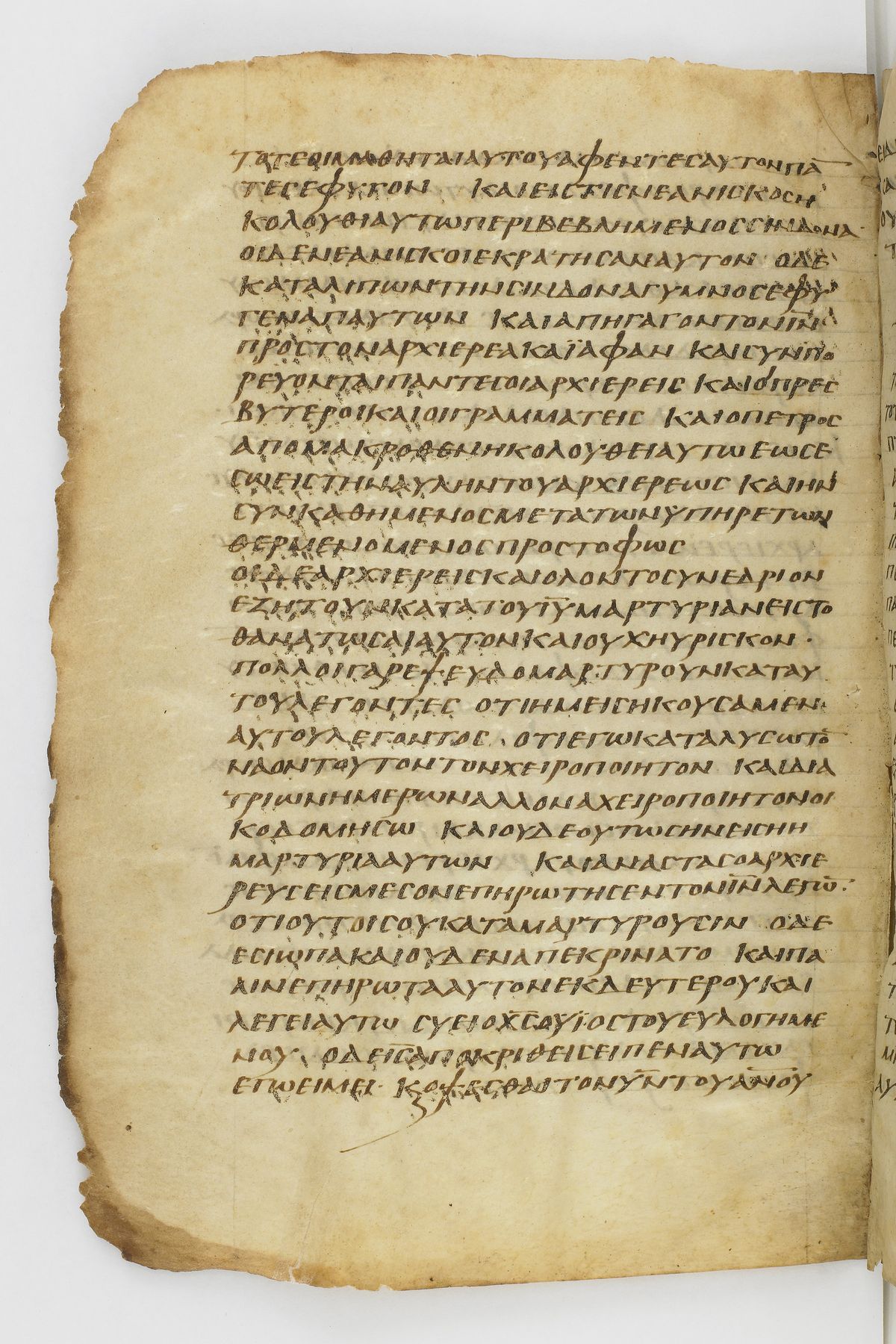 Scan washingtonianus/w-p0368-FS-7163_08.jpg